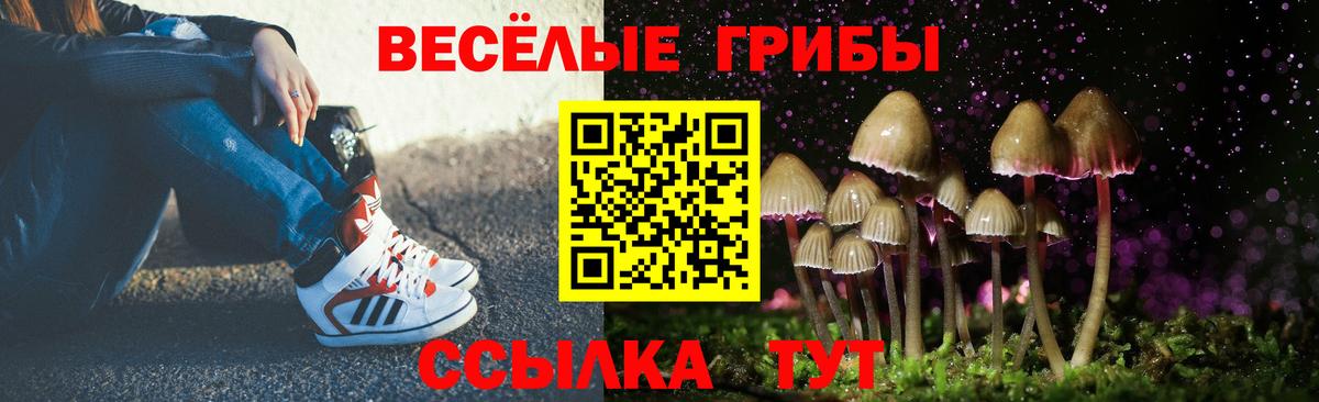 Галлюциногенные грибы Cubensis Черкесск